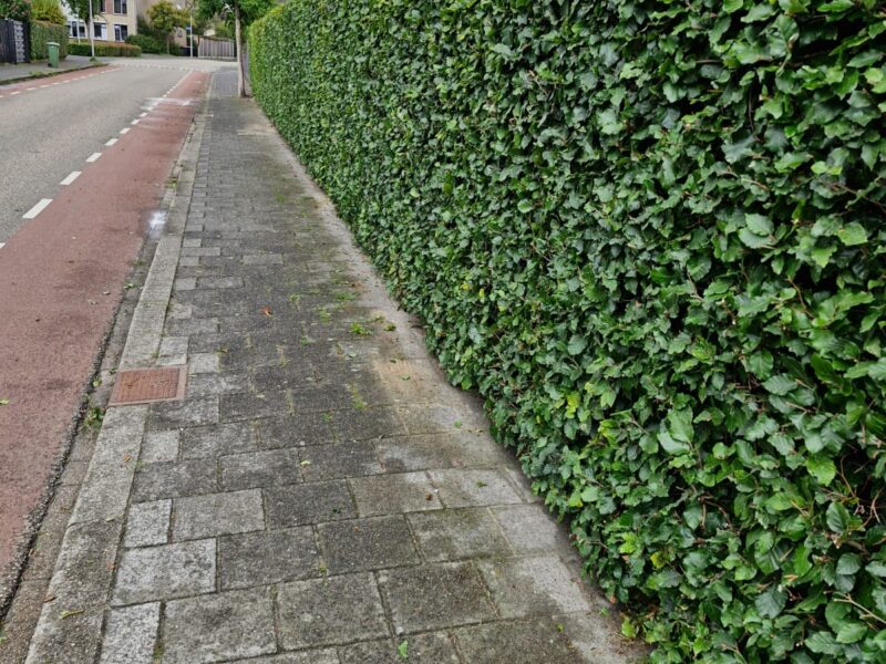 WhatsApp Image 2026-01-13 at 16.14.21 WhatsApp Image 2026-01-13 at 16.14.21