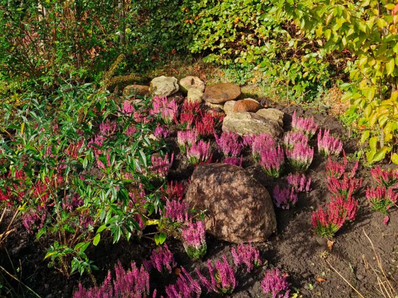 WhatsApp Image 2026-01-13 at 16.14.25 WhatsApp Image 2026-01-13 at 16.14.25